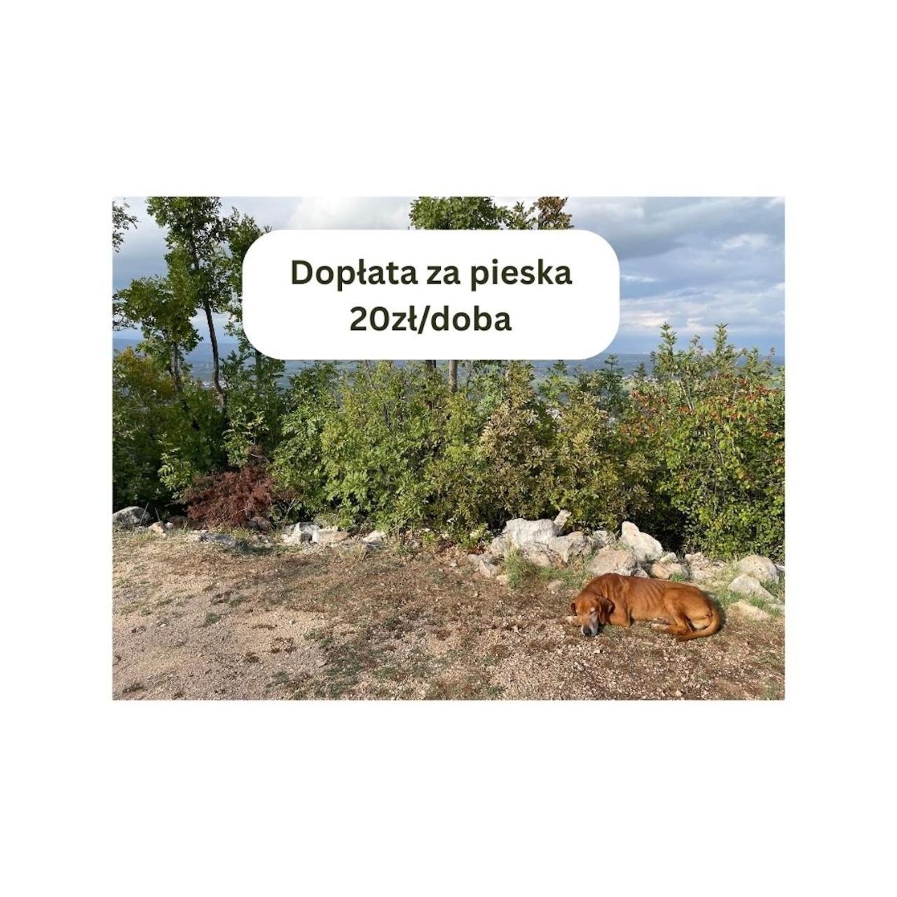 Lakowa Dolina - Domek Letniskowy Suprasl Exterior photo